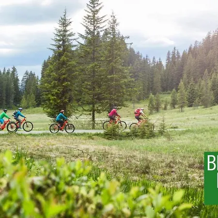 Apartmán - Silbertal